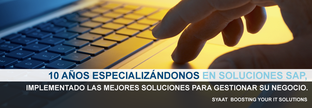 Especialistas en soluciones SAP